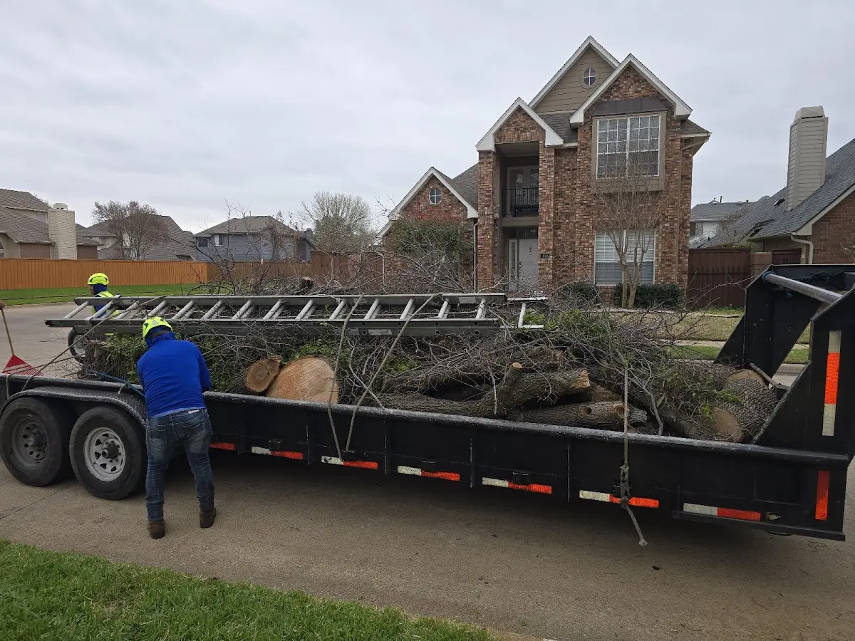 Expert Tree Fertilization with proper safety equipment in Gulf